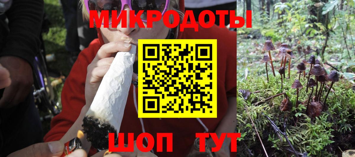 Ирбит  Псилоцибиновые грибы Psilocybe  Вход с VPN 